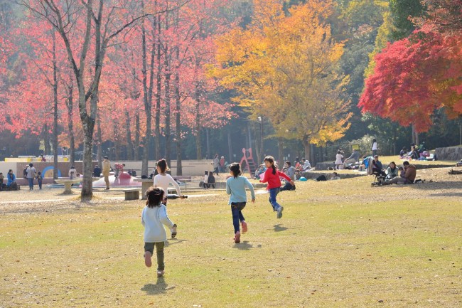 宝が池公園 子どもの楽園の紅葉