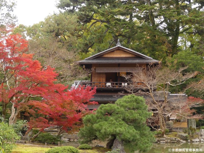 京都御苑の紅葉と建物