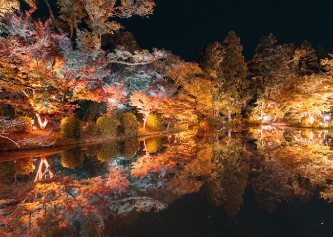 紅葉イルミネーション