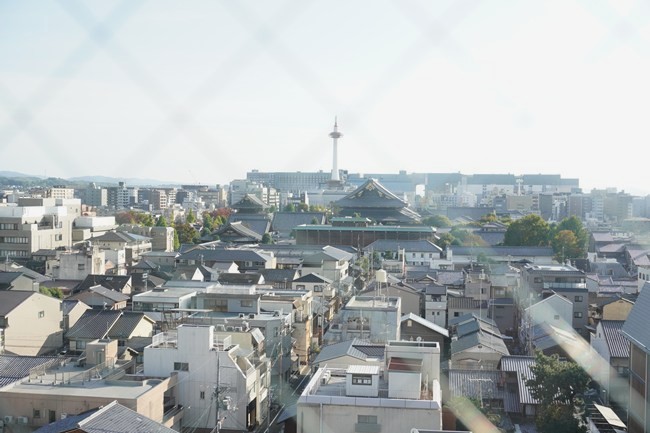 忍者ルームからの眺め