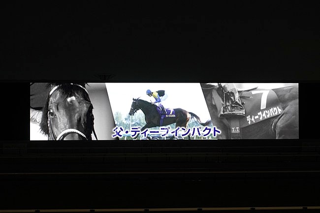 京都競馬場センテニアルナイトドローンショーの映像演出