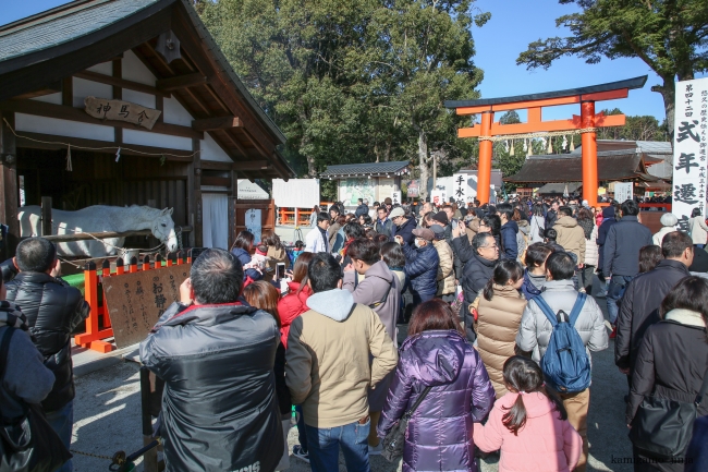 賀茂別雷神社（上賀茂神社）の正月風景