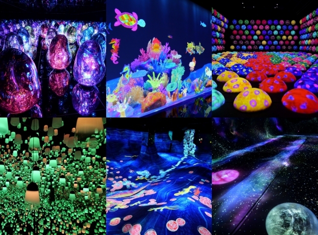 チームラボ バイオヴォルテックス 京都