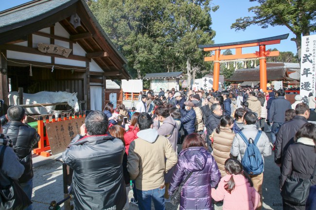 神馬と参拝客
