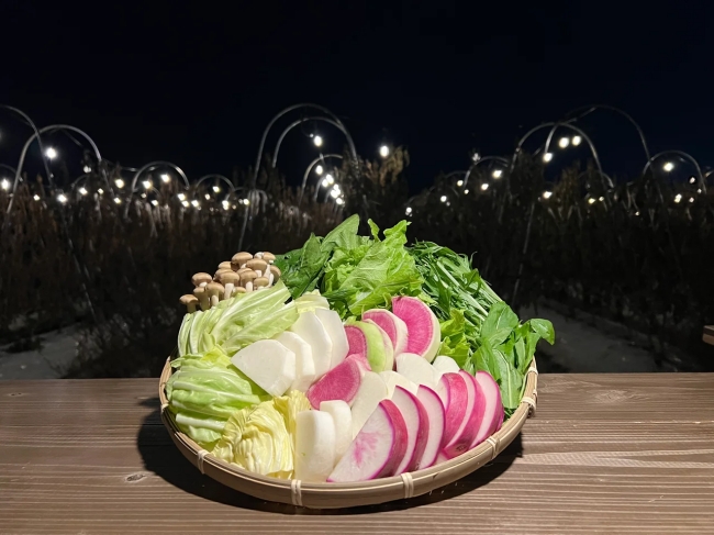 星空ナイトファーム