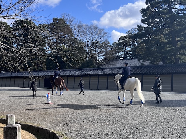 観光地パトロールがスタート