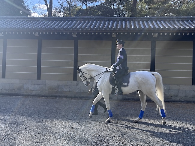 平安騎馬隊の活動の様子