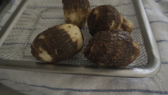 本田味噌　白みそポタージュ