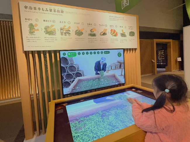 映像に合わせてお茶の手もみ