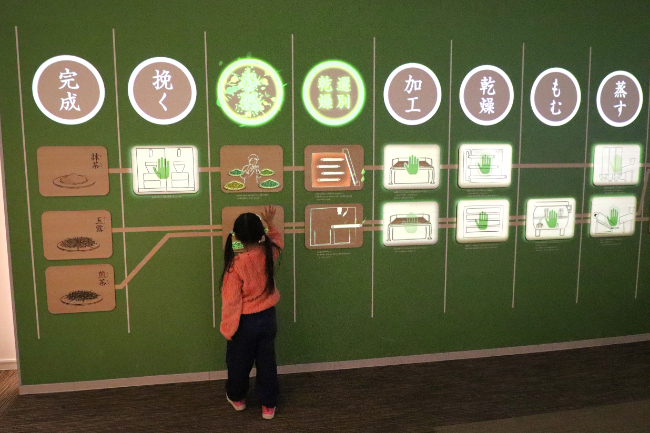 お茶の製造工程