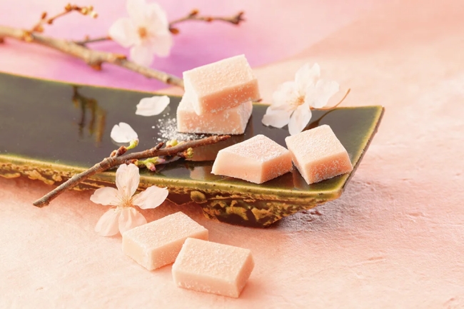 生チョコレート（桜フロマージュ）